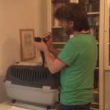 Antonio Amato mentre allatta una gattina nera appena nata trovata per strada con addosso ancora la placenta